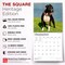 BrownTrout; American Pit Bull Terriers | 2027 12 x 24 Inch (Hanging) Monthly Square Wall Calendar | Plastic-Free; Category:Wall Calendars; Image:7
